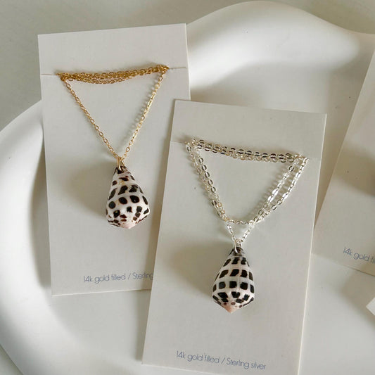 Your choice Indo pacific Hebrew cone shell 18” necklace 14k gold filled or Sterling silver